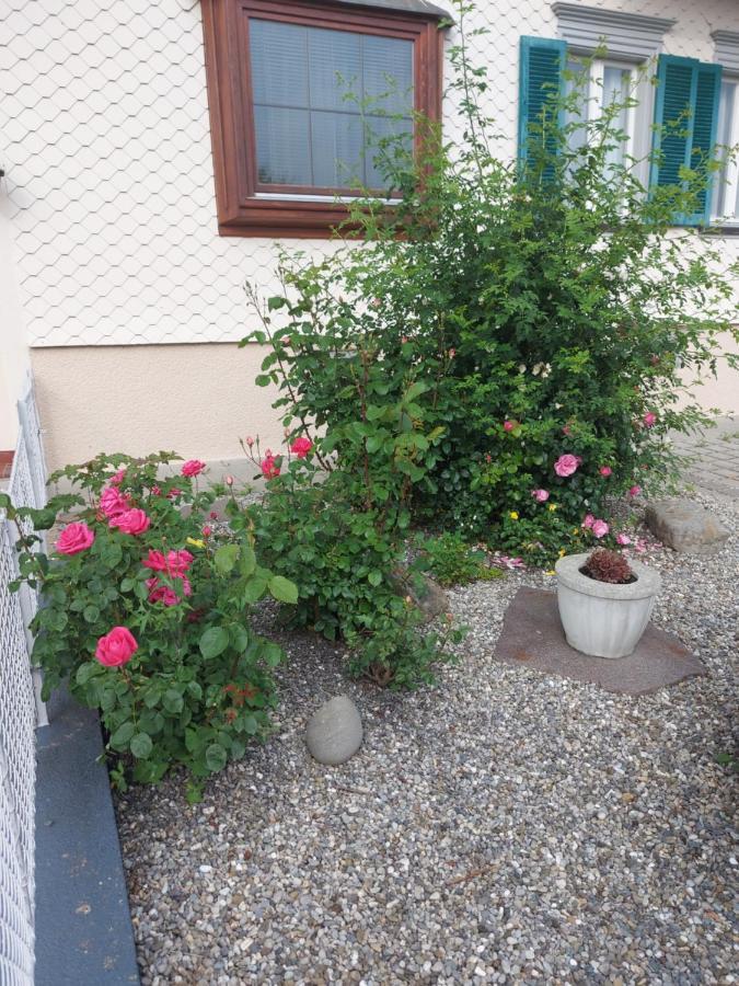 Ferienhaus Und Ferienappartements Brunner Höchst Екстериор снимка